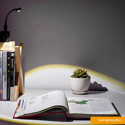 Sunset Lamp 16 color